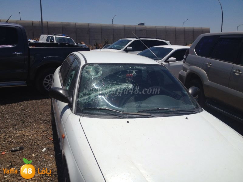 fight 2 famlilesi (7).JPG